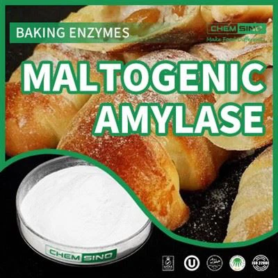 Brewing Brilliance 2.0: Craft Excellence With Maltogenic Amylase.CAS NO. 9000-92-4