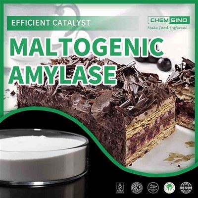 Мальтогенна амілаза: інженер смаку ваших найкращих страв. CAS NO. 9000-92-4