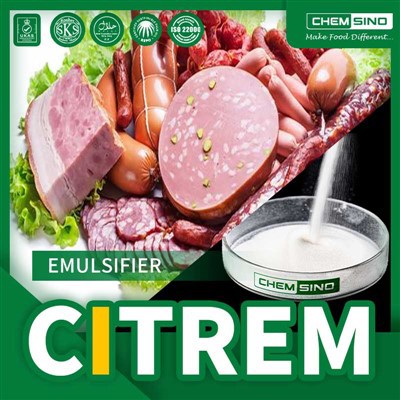 Надійний виробник емульгатора CITREM E472c|CAS 36291-32-4